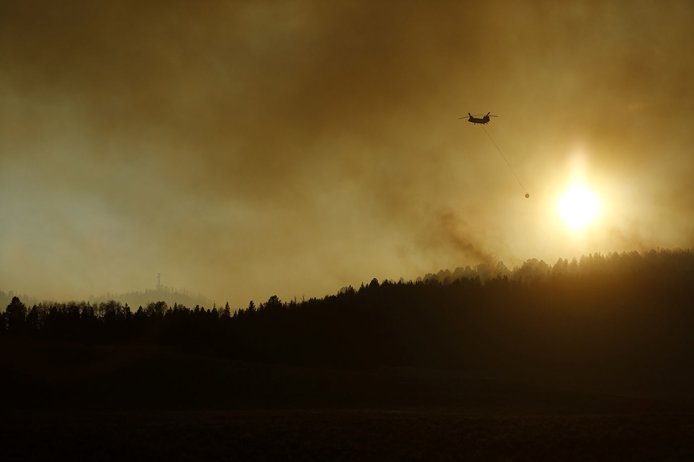 Roosevelt Fire